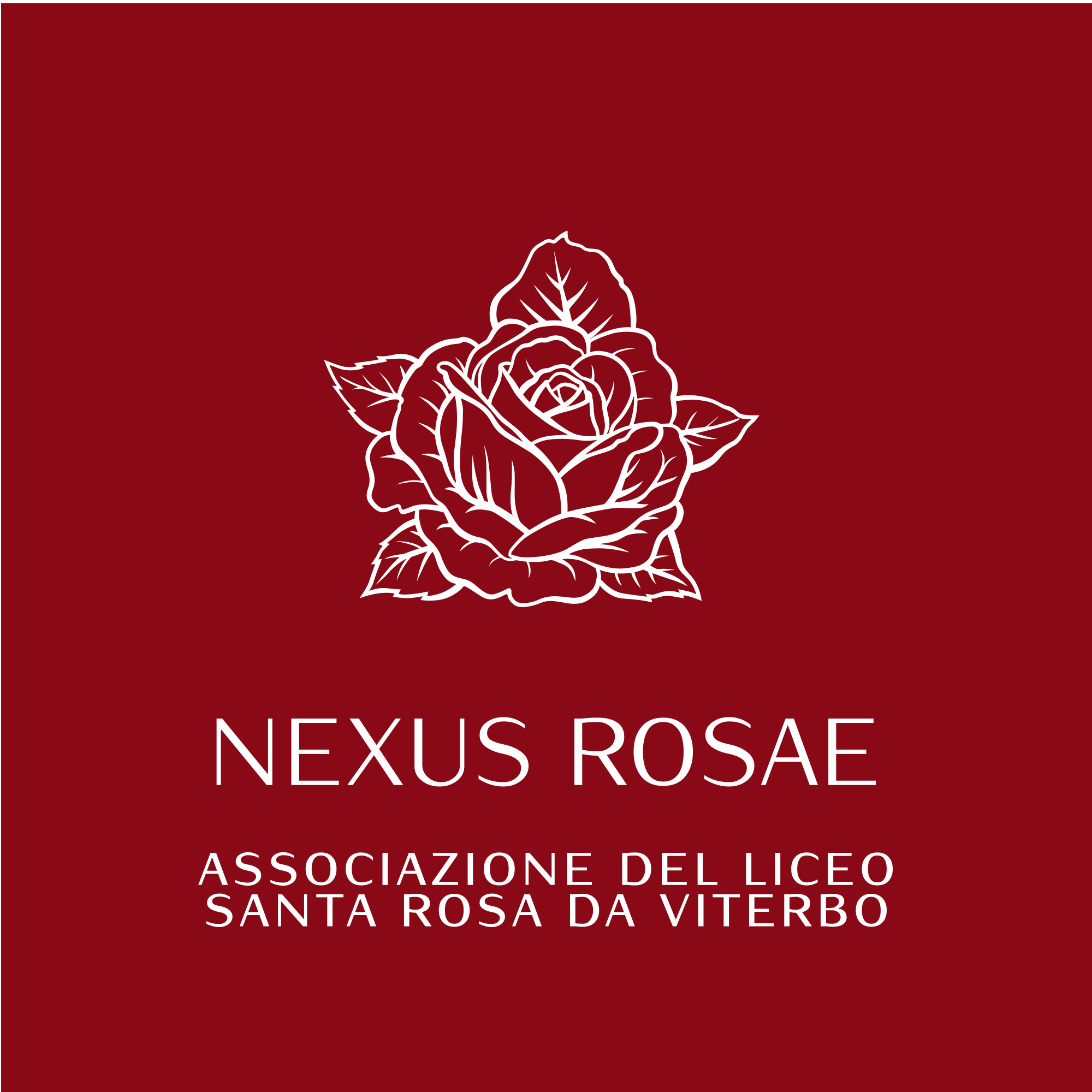 NEXUS ROSAE